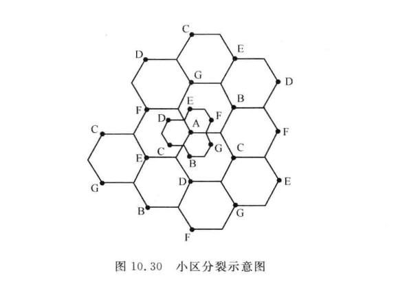 小区分裂示意图